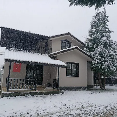 فيلة Kartepe *