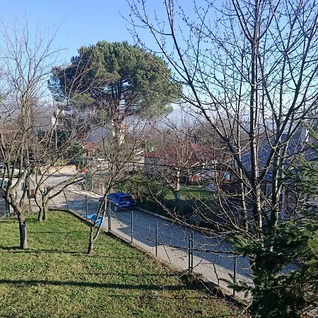 فيلة Kartepe *