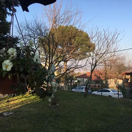 فيلة Kartepe *