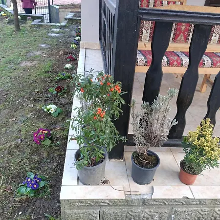 Kartepe فيلة سبانجا