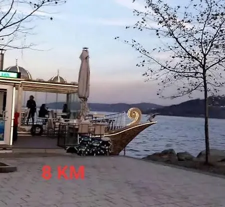 Kartepe فيلة