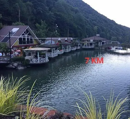 فيلة Kartepe