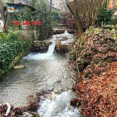 فيلة Kartepe